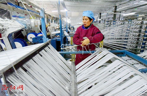 洛阳九发实业有限公司 瞄准市场需求促生产 研发环保产品稳就业